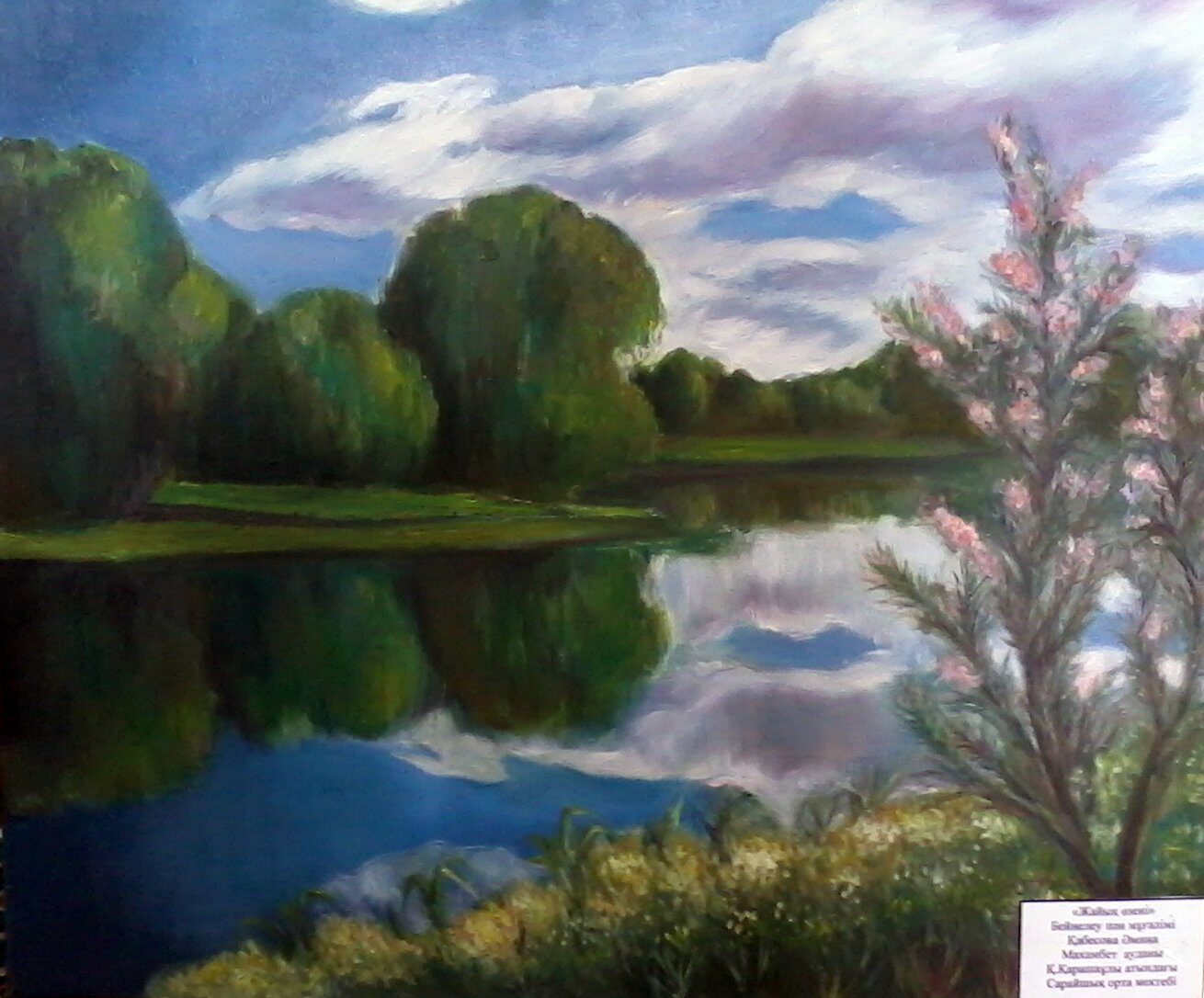 Порно өте жас свингтер